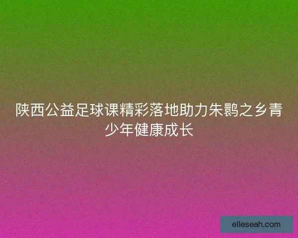 陕西公益足球课精彩落地助力朱鹮之乡青少年健康成长