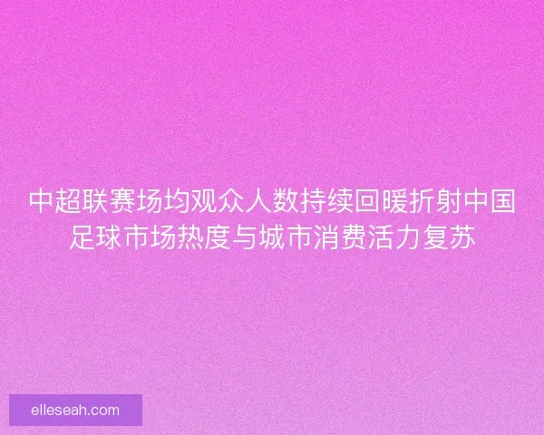 中超联赛场均观众人数持续回暖折射中国足球市场热度与城市消费活力复苏